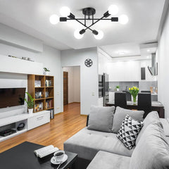 ceiling fan with LED lights