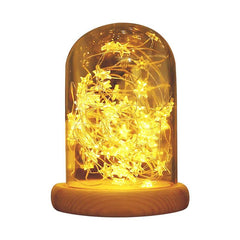 Atmosphere table lamp decorative LED Night Light