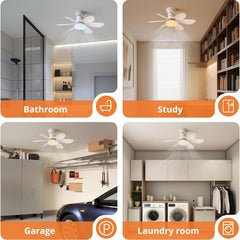 Screw In Ceiling Fan Light with Remote – 6 Blade LED Fan for Bedroom & Kitchen, Light Socket Extender Included