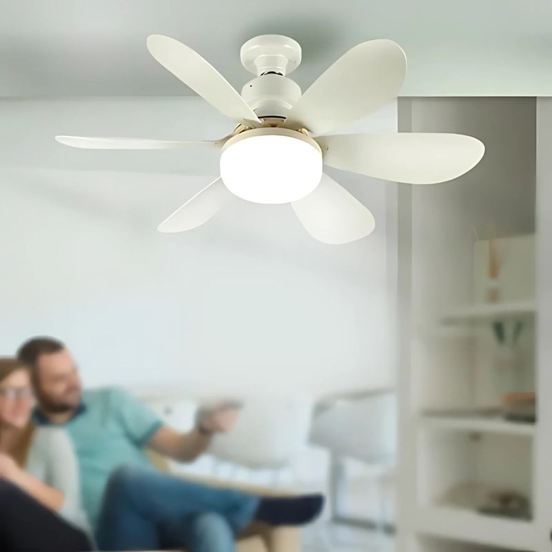 LED ceiling fan

