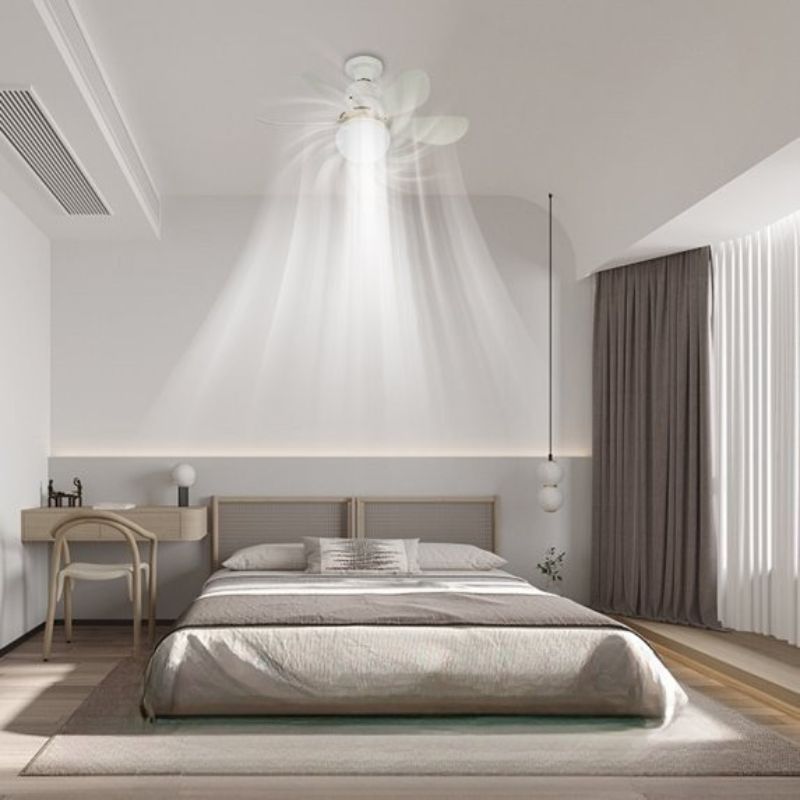Modern ceiling fan with LED

