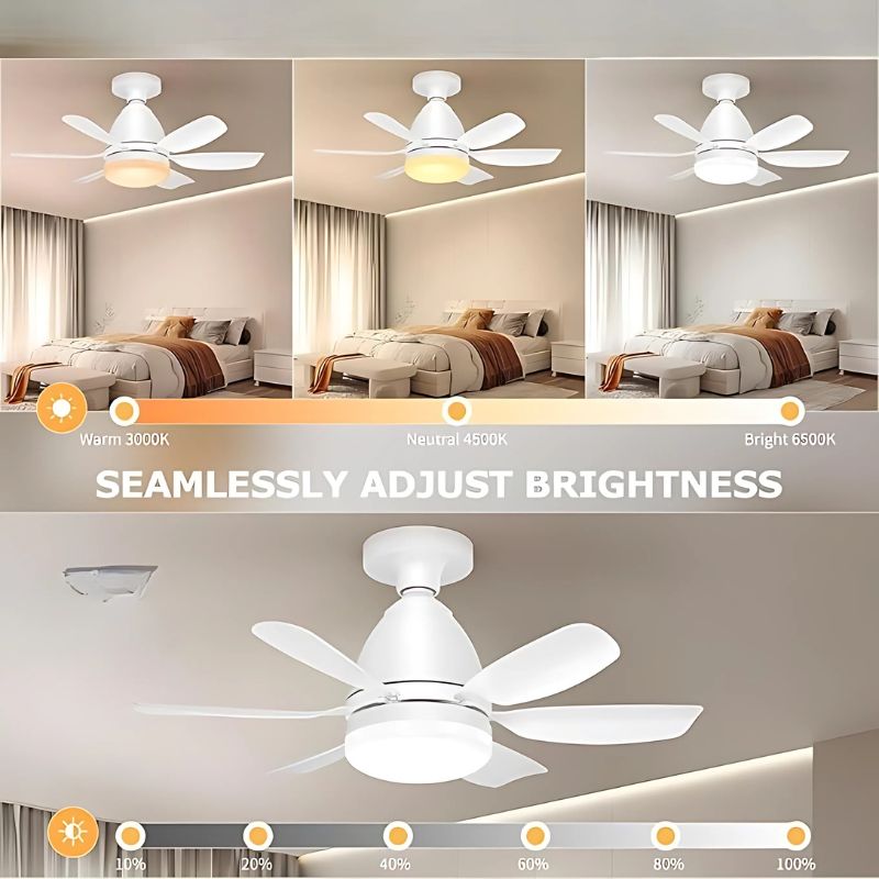 Dimmable LED fan

