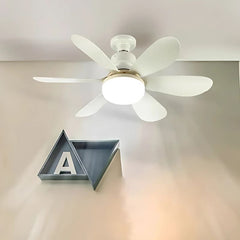Modern ceiling fan with LED

