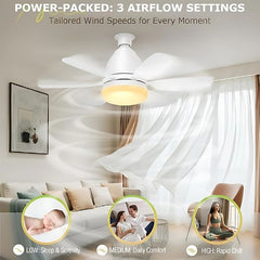 Quiet ceiling fan

