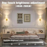 RGB wall light

