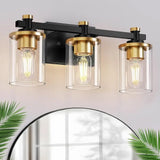 3 Light LED Wall Sconce for Bathroom, Mirror, Vanity