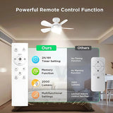 indoor ceiling fan 