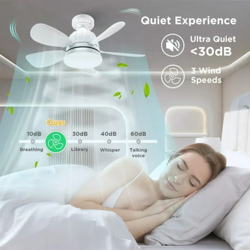 small ceiling fan with light

